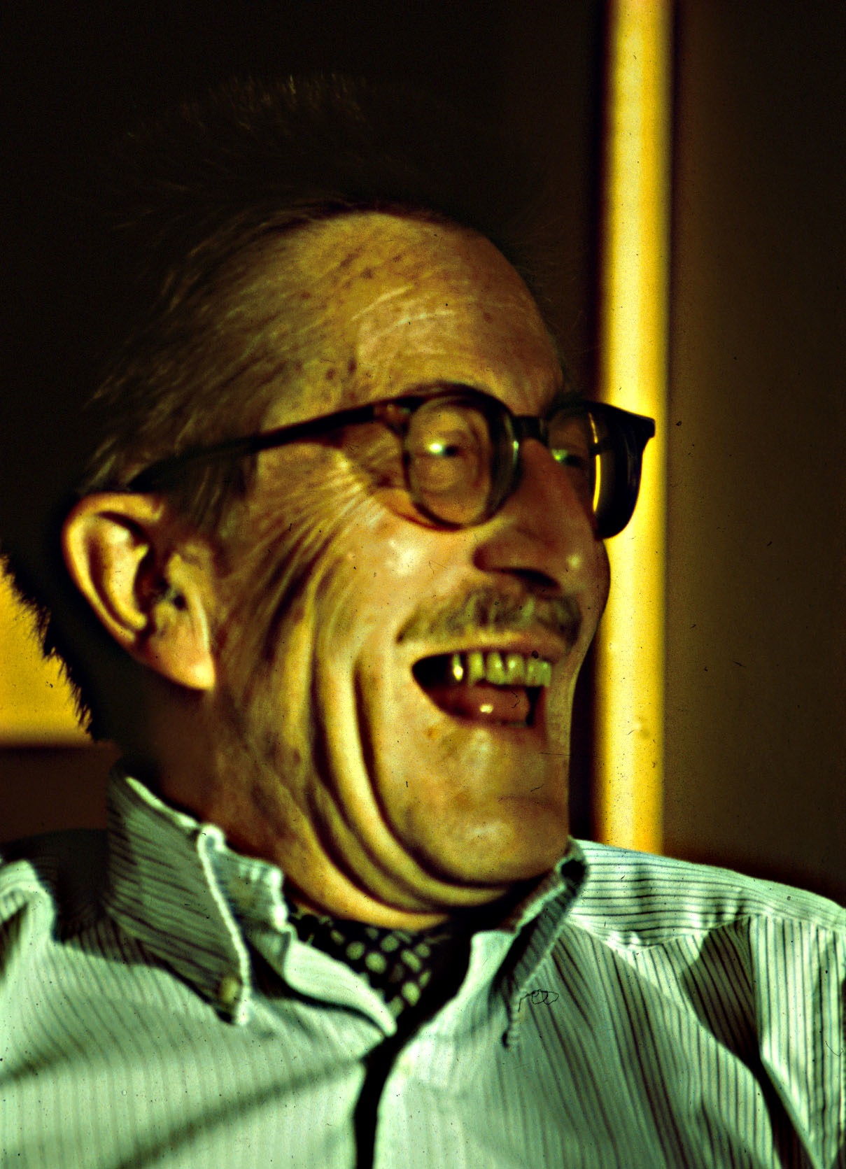 Meyer Adolf Ernst