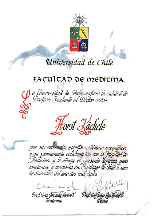 Profesor Visitante