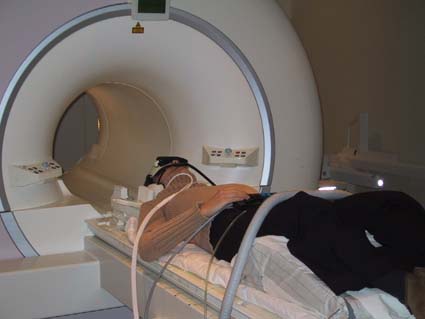 Adult Attachment Representation in an fMRI Environment